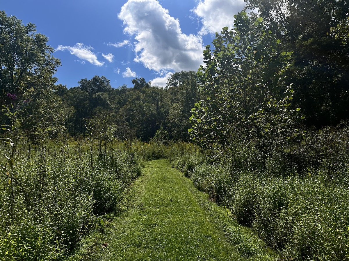 Trail with Clouds